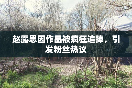 赵露思因作品被疯狂追捧，引发粉丝热议