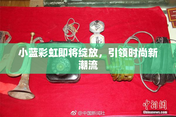 小蓝彩虹即将绽放，引领时尚新潮流