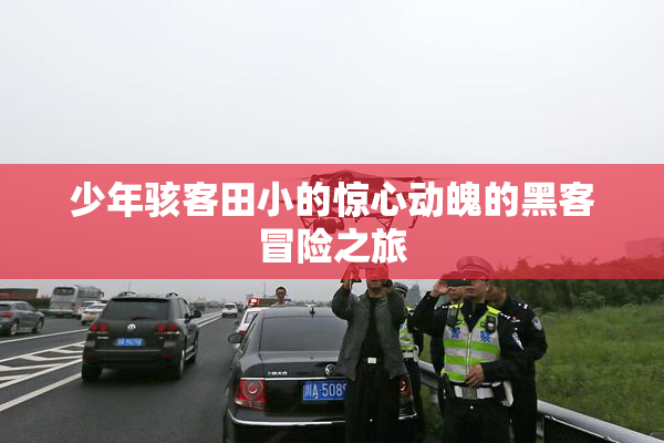 少年骇客田小的惊心动魄的黑客冒险之旅