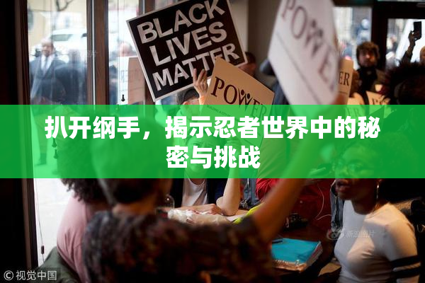 扒开纲手，揭示忍者世界中的秘密与挑战