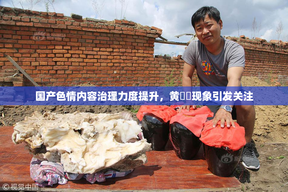 国产色情内容治理力度提升，黄❌‌现象引发关注