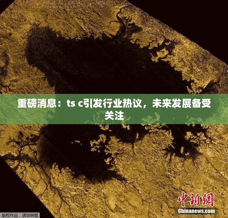 重磅消息：ts c引发行业热议，未来发展备受关注