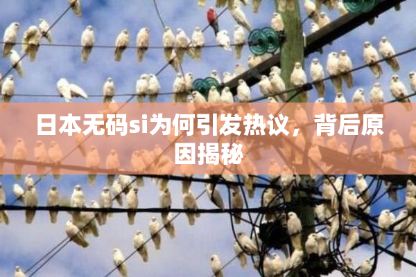 日本无码si为何引发热议，背后原因揭秘