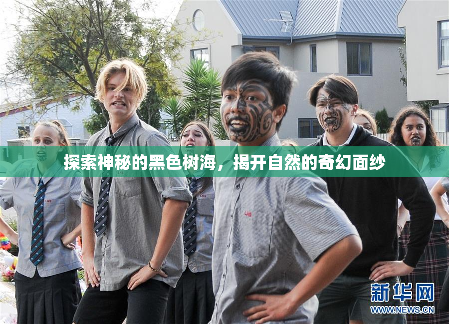 探索神秘的黑色树海，揭开自然的奇幻面纱
