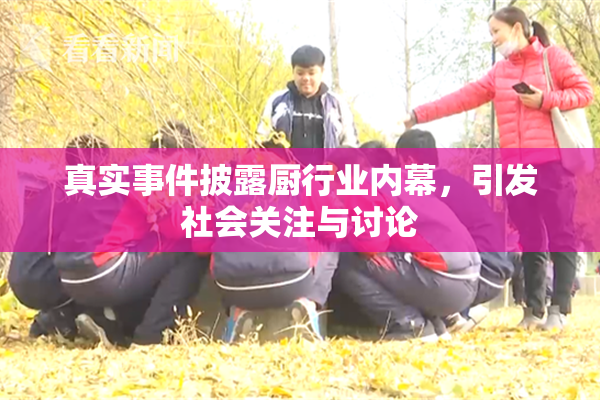 真实事件披露厨行业内幕，引发社会关注与讨论