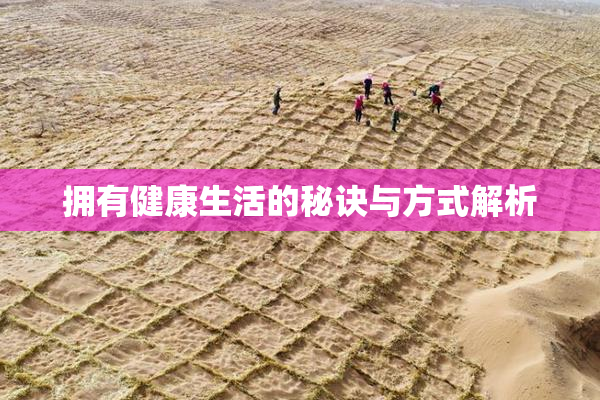 拥有健康生活的秘诀与方式解析