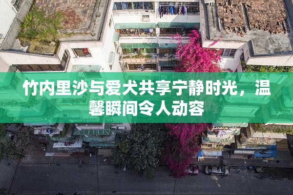 竹内里沙与爱犬共享宁静时光，温馨瞬间令人动容