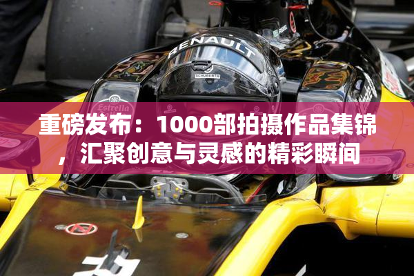 重磅发布：1000部拍摄作品集锦，汇聚创意与灵感的精彩瞬间