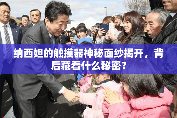 纳西妲的触摸器神秘面纱揭开，背后藏着什么秘密？