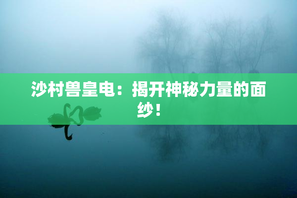 沙村兽皇电：揭开神秘力量的面纱！