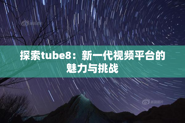 探索tube8：新一代视频平台的魅力与挑战
