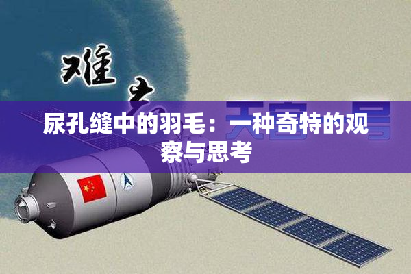 尿孔缝中的羽毛：一种奇特的观察与思考
