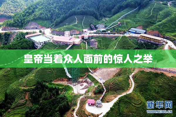 皇帝当着众人面前的惊人之举