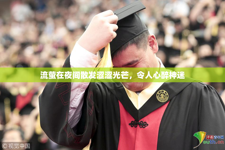 流萤在夜间散发涩涩光芒，令人心醉神迷