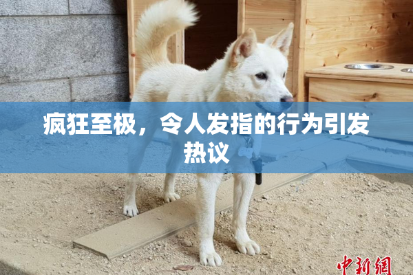 疯狂至极，令人发指的行为引发热议