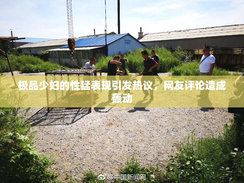 极品少妇的性猛表现引发热议，网友评论造成轰动