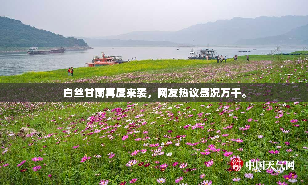 白丝甘雨再度来袭，网友热议盛况万千。