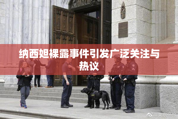 纳西妲裸露事件引发广泛关注与热议