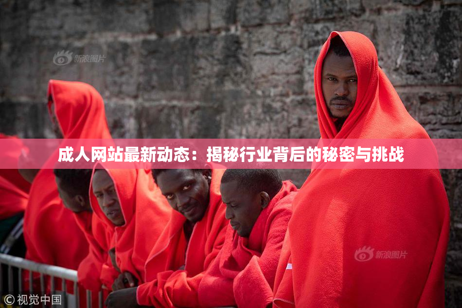 成人网站最新动态：揭秘行业背后的秘密与挑战