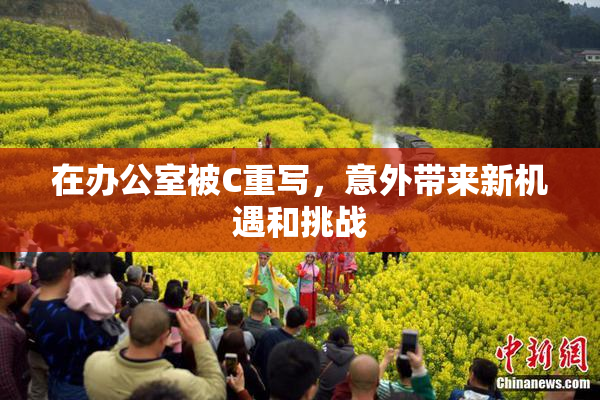 在办公室被C重写，意外带来新机遇和挑战