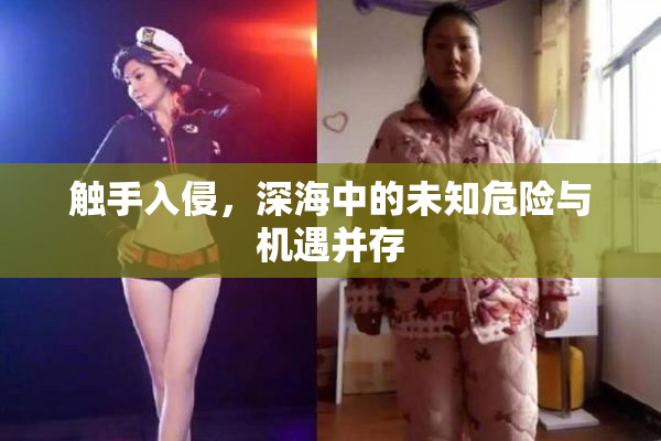 触手入侵，深海中的未知危险与机遇并存