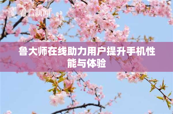 鲁大师在线助力用户提升手机性能与体验