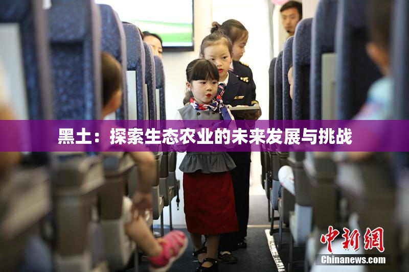 黑土：探索生态农业的未来发展与挑战