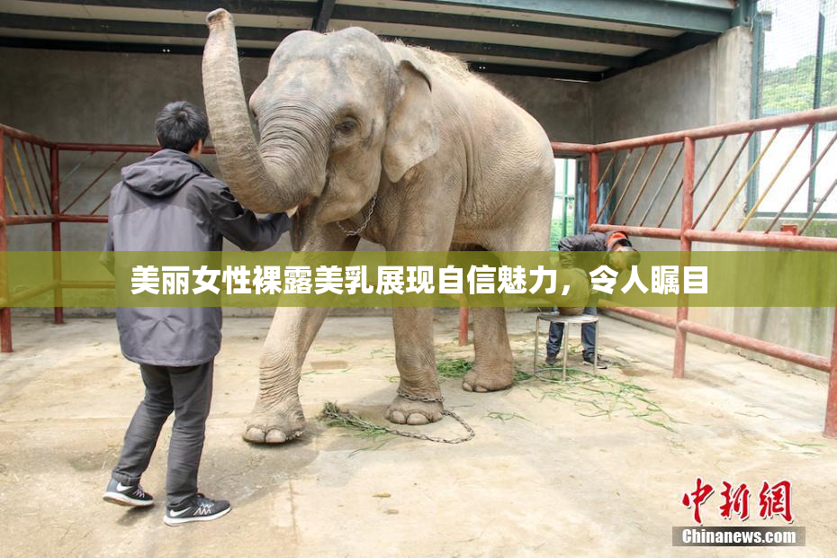 美丽女性裸露美乳展现自信魅力，令人瞩目