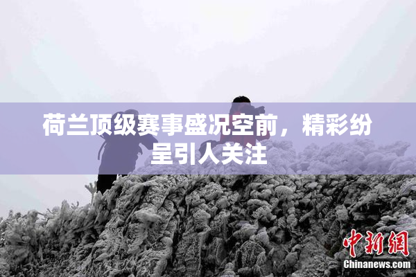 荷兰顶级赛事盛况空前，精彩纷呈引人关注
