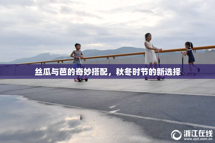 丝瓜与芭的奇妙搭配，秋冬时节的新选择