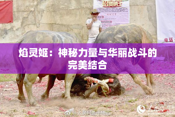 焰灵姬：神秘力量与华丽战斗的完美结合