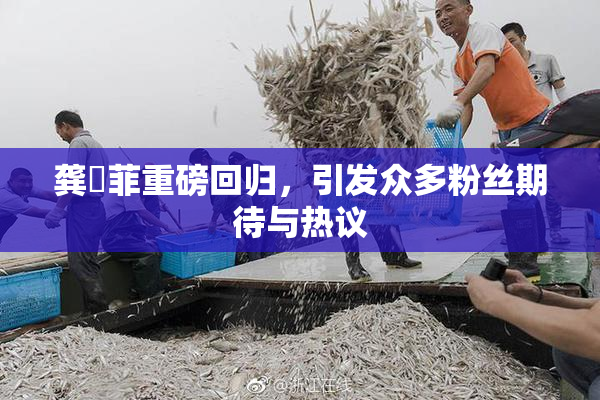 龚玥菲重磅回归，引发众多粉丝期待与热议