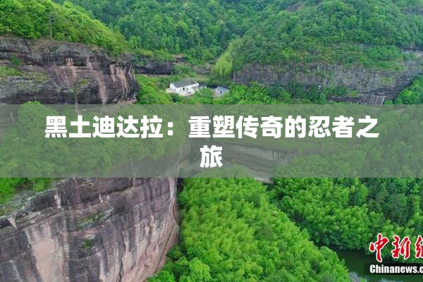 黑土迪达拉：重塑传奇的忍者之旅