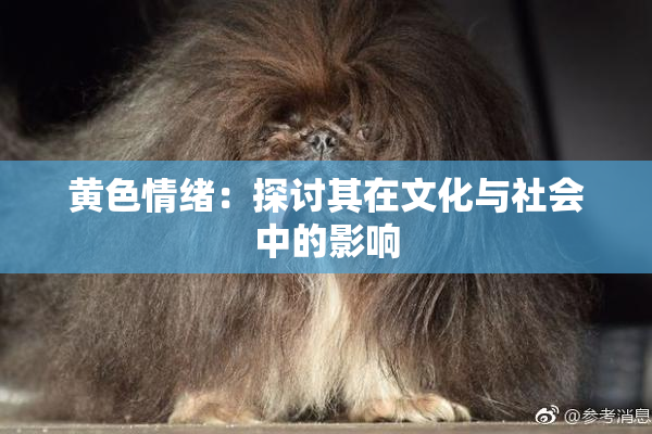 黄色情绪：探讨其在文化与社会中的影响