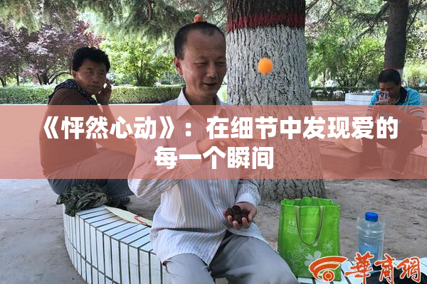 《怦然心动》：在细节中发现爱的每一个瞬间