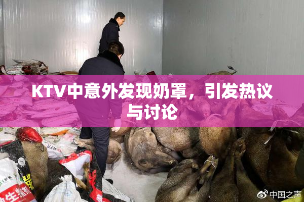 KTV中意外发现奶罩，引发热议与讨论
