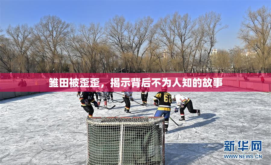 雏田被歪歪，揭示背后不为人知的故事