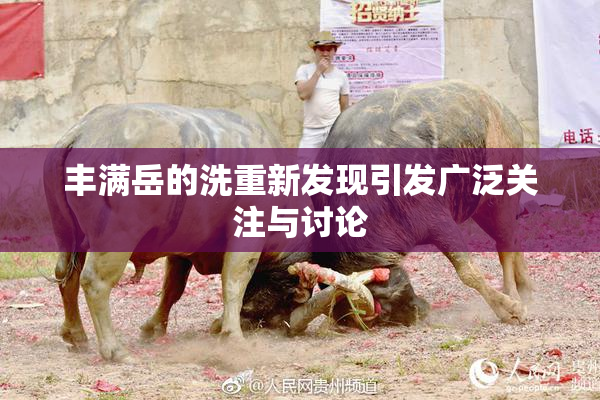 丰满岳的洗重新发现引发广泛关注与讨论