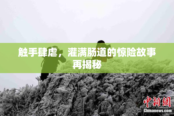 触手肆虐，灌满肠道的惊险故事再揭秘