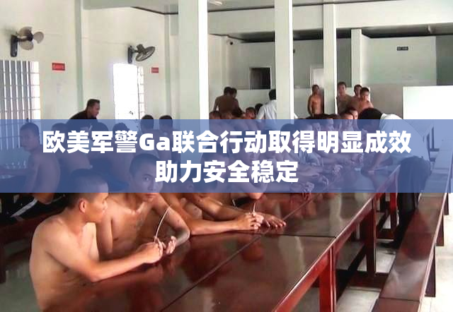 欧美军警Ga联合行动取得明显成效助力安全稳定