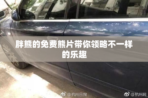 胖熊的免费熊片带你领略不一样的乐趣