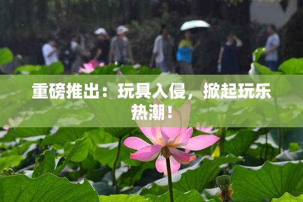 重磅推出：玩具入侵，掀起玩乐热潮！