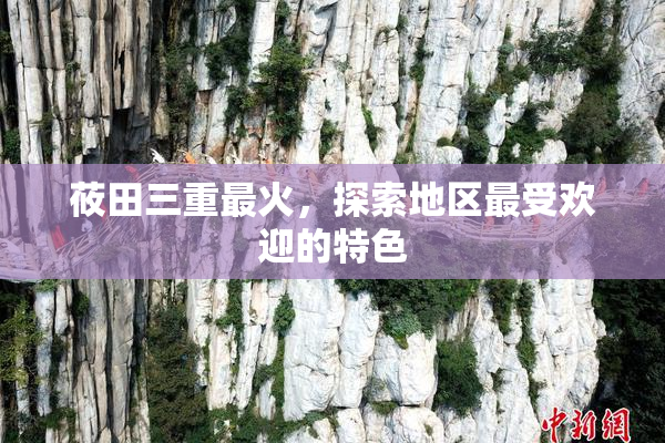 莜田三重最火，探索地区最受欢迎的特色