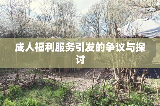 成人福利服务引发的争议与探讨
