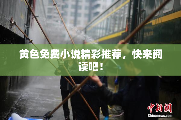 黄色免费小说精彩推荐，快来阅读吧！