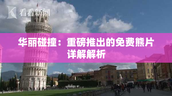 华丽碰撞：重磅推出的免费熊片详解解析