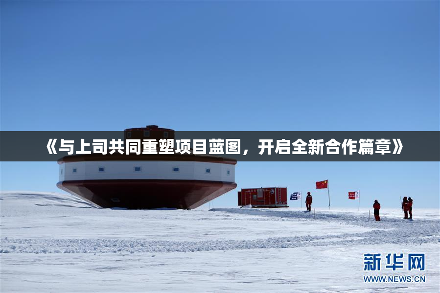 《与上司共同重塑项目蓝图，开启全新合作篇章》