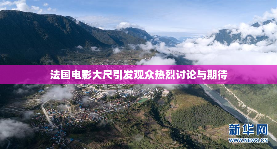 法国电影大尺引发观众热烈讨论与期待