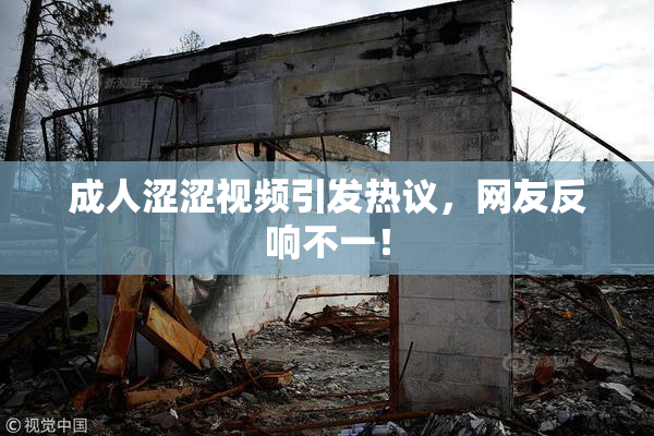 成人涩涩视频引发热议，网友反响不一！