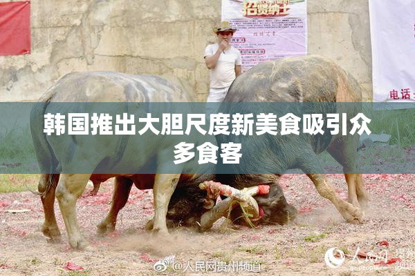 韩国推出大胆尺度新美食吸引众多食客